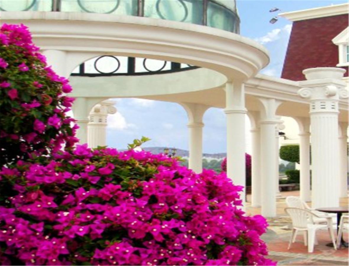 Clifford Golden Lake Hotel Φοσάν Εξωτερικό φωτογραφία